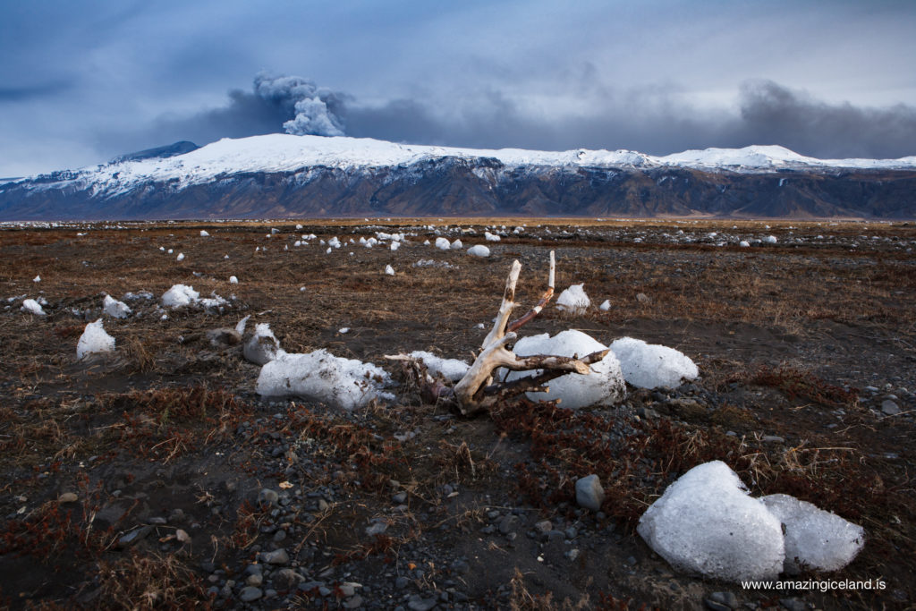 Icebergs and tree stubs from the glacial flooding of Eyjafjallajokull volcano eruption in 2010