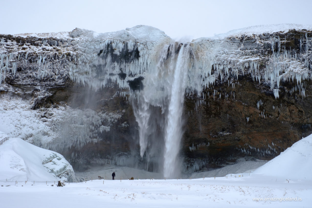 Seljalandsfoss waterfall on the south coast of Iceland in winter