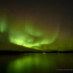 Northern lights over lake Thingvellir national park in Iceland