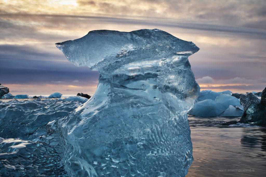 Bird shaped Ice block on Diamond beach in Iceland