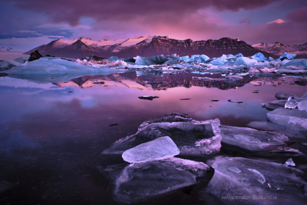 Morning glow on icebergs at Glacier Lagoon in Iceland