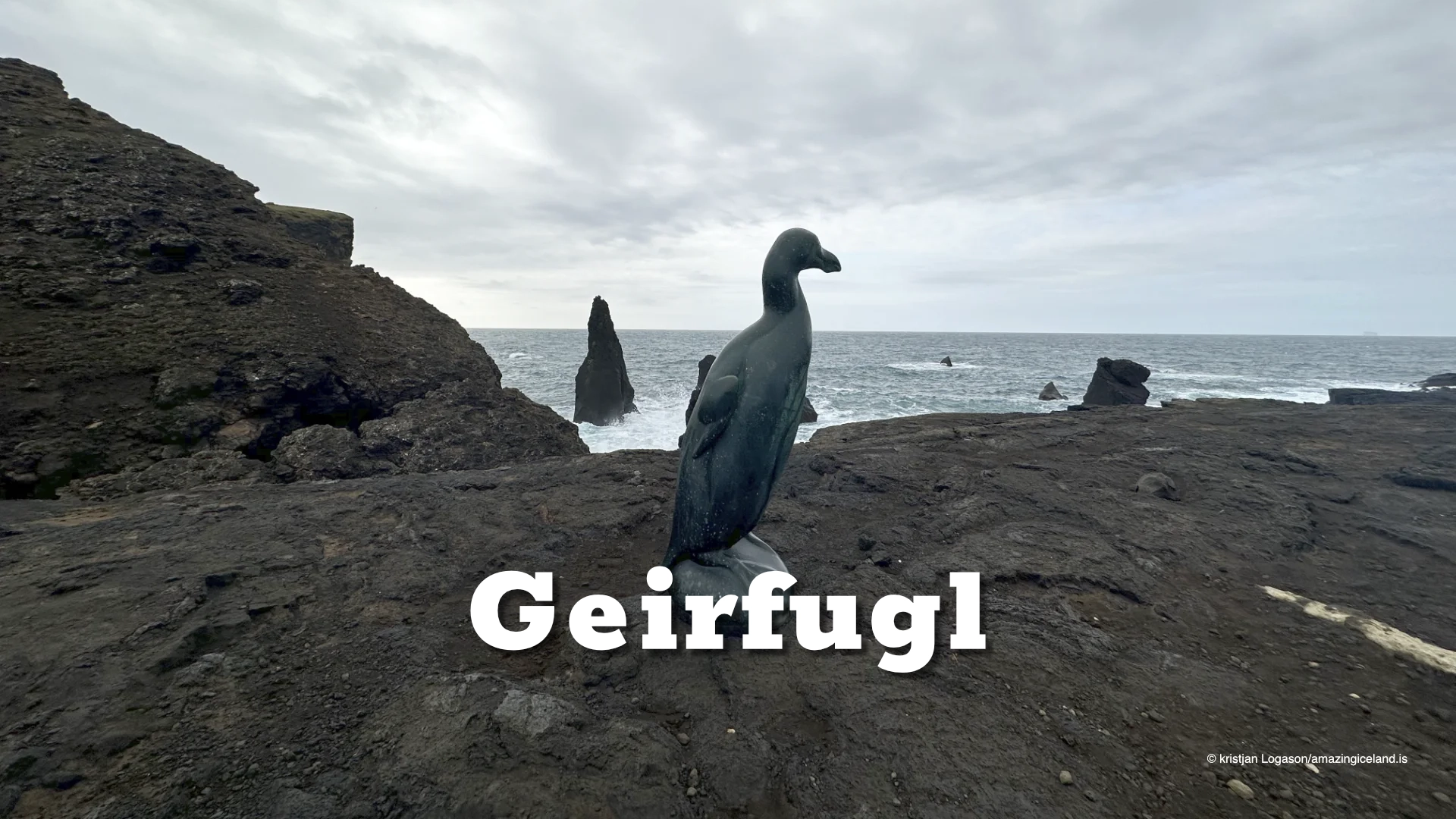 The last documented pair of great Auks was killed on Eldey Island off the coast of Iceland on June 1844.