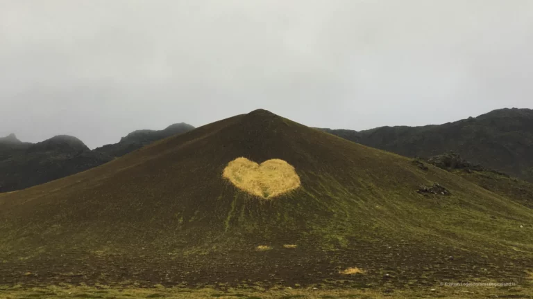 Heart shape grass in a mountain near Kleifarvatn