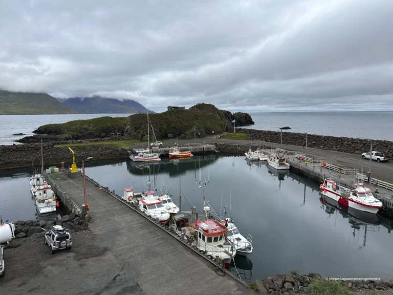 Borgarfjörður eystri in east Iceland