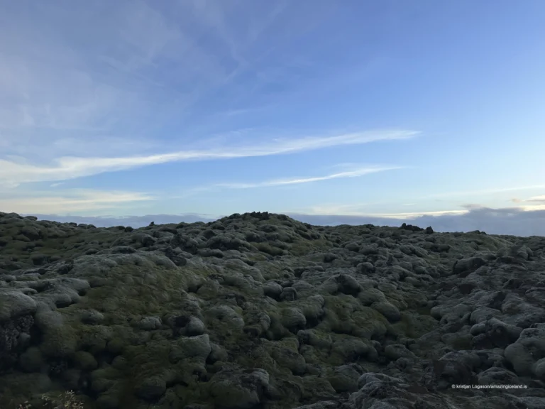 Moss covered Eldhraun lava field