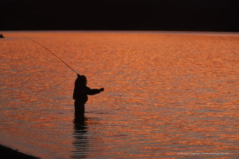Veiðivötn (“the Fishing Lakes”) is a compact wilderness of roughly fifty crater lakes in Iceland’s central highlands—born from fire in 1477