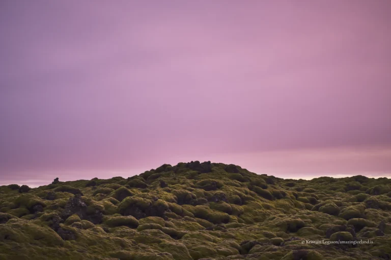 Moss covered Eldhraun lava field