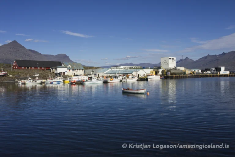 Town of Djúpivogur in east Iceland