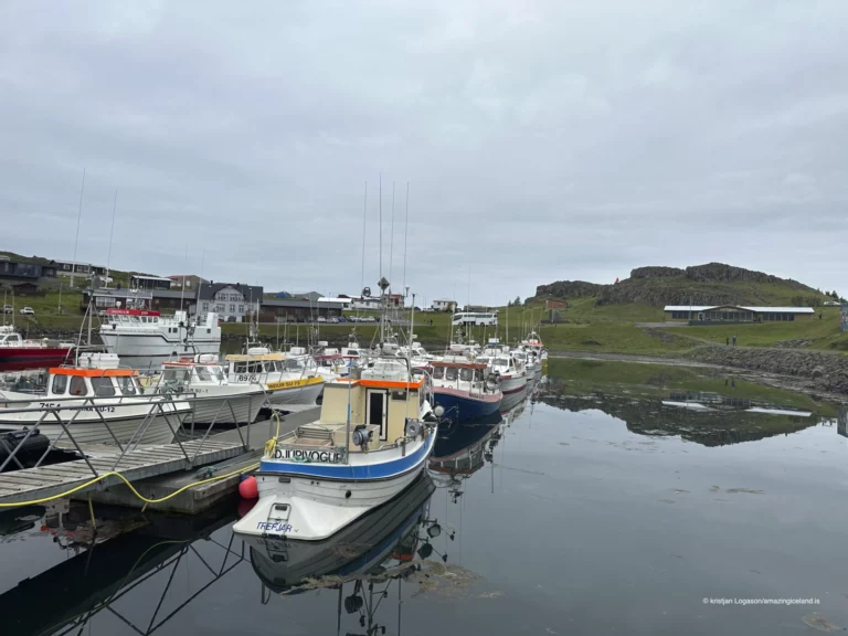 View of the harbor in Djupivogur in east Iceland