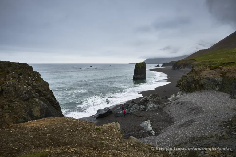 Stapavik bay east Iceland