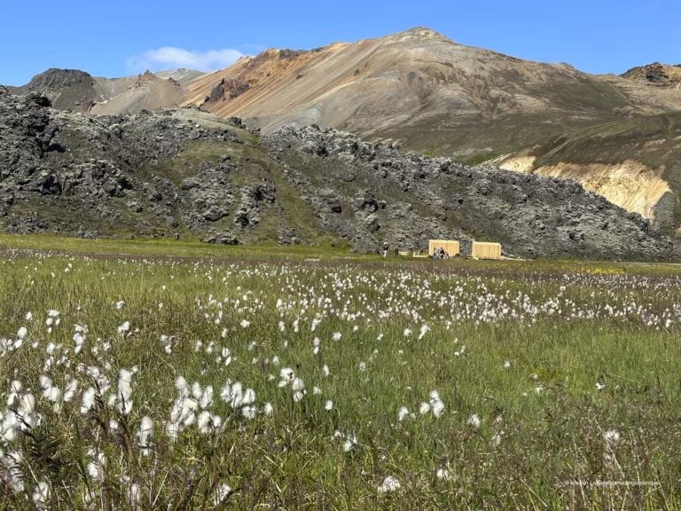 Laugahraun is a young basaltic lava field at Landmannalaugar, formed during the 1477 Veiðivötn eruption. Dark, fractured, and still sharply textured, it stands in direct contrast to the surrounding rhyolite mountains and geothermal slopes. More than a backdrop, Laugahraun is a defining structural element of the Landmannalaugar landscape, shaping access, water flow, and human movement through the area.